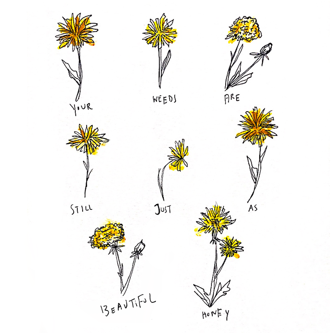 dandelions