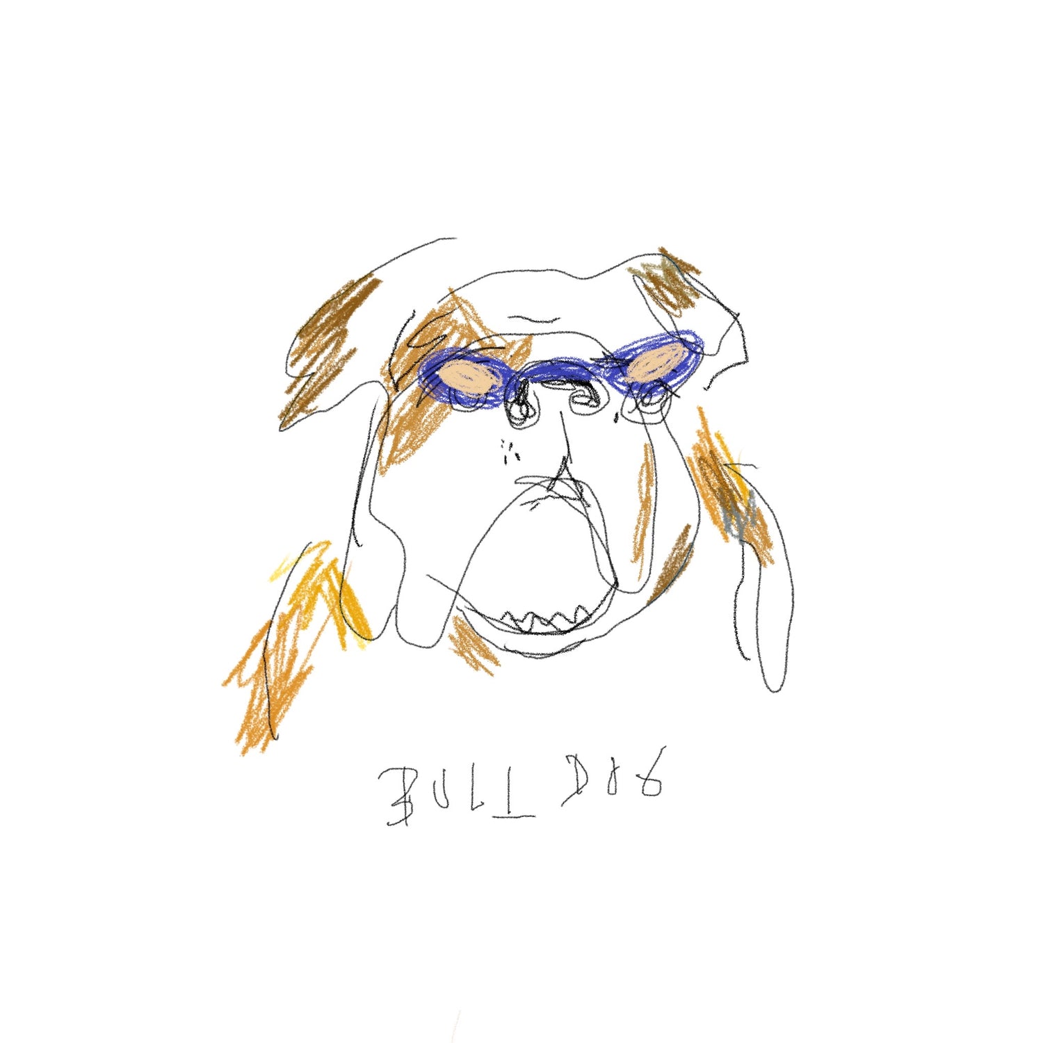 funky dogs