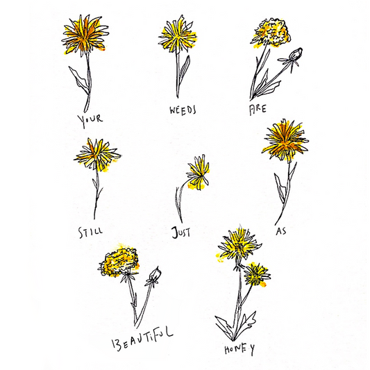 dandelions
