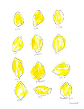 Load image into Gallery viewer, lemons