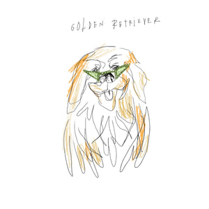 funky golden retriever