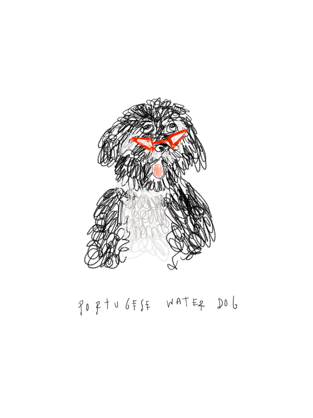 funky Portuguese Water Dog