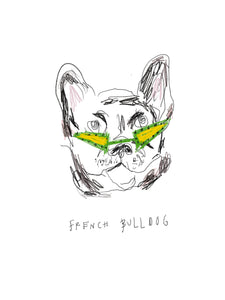 funky frenchie