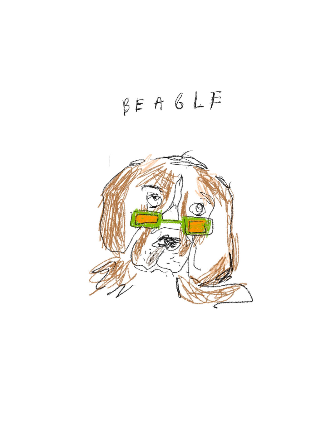 funky beagle